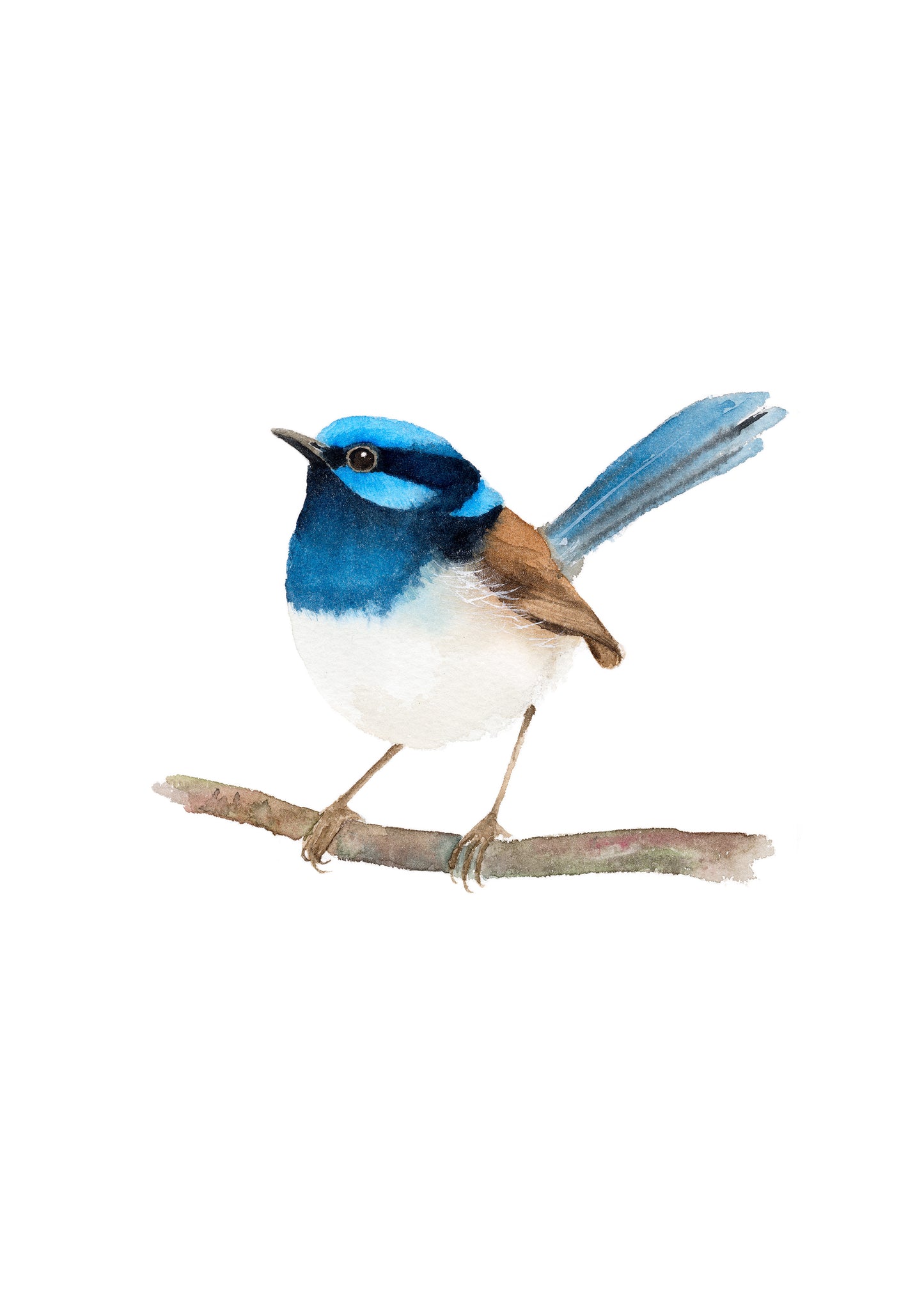 Watercolour workshop - 19th April (2 Sports left)